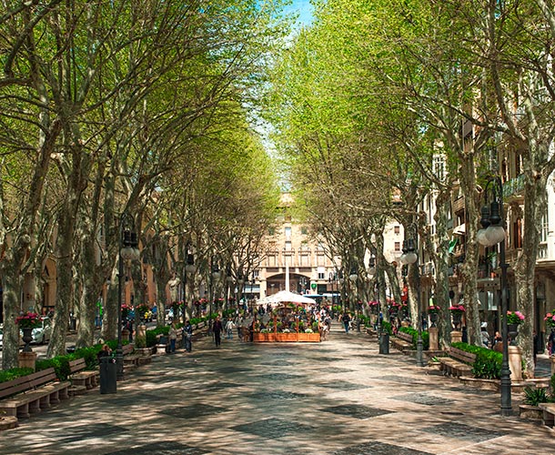 gastronomie amic hotels mallorca Erlebnisse gastronomie amic hotels